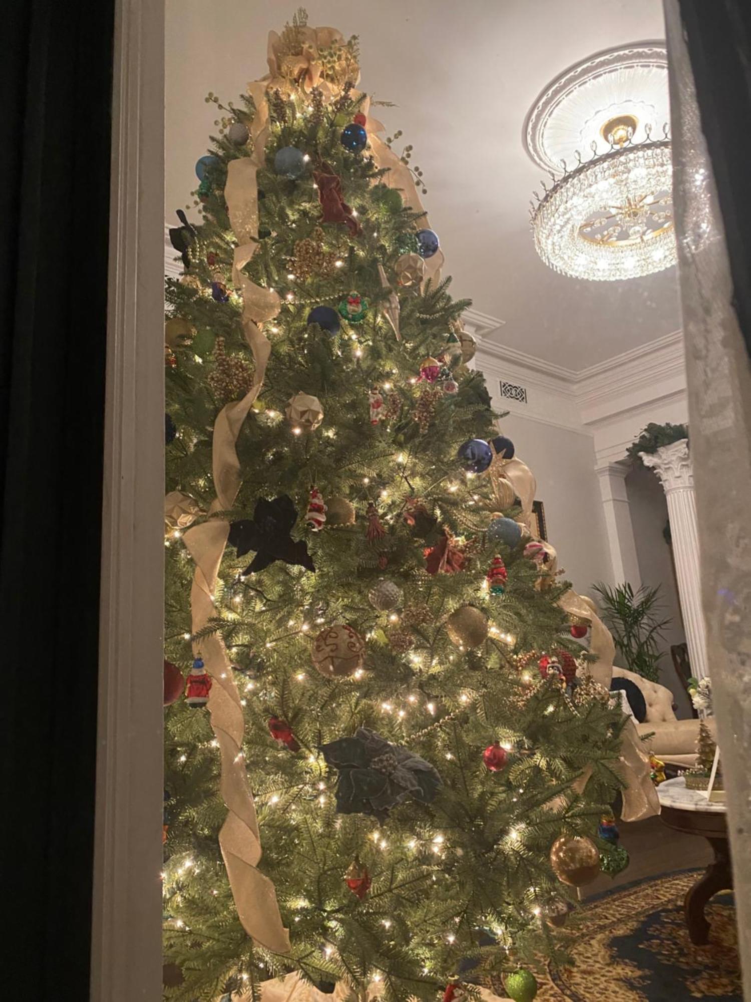 Belle Louise Historic Bed & Breakfast パデューカ エクステリア 写真